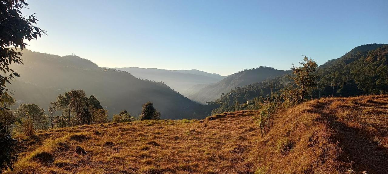 The City Escape Farmstay Shimla Ngoại thất bức ảnh